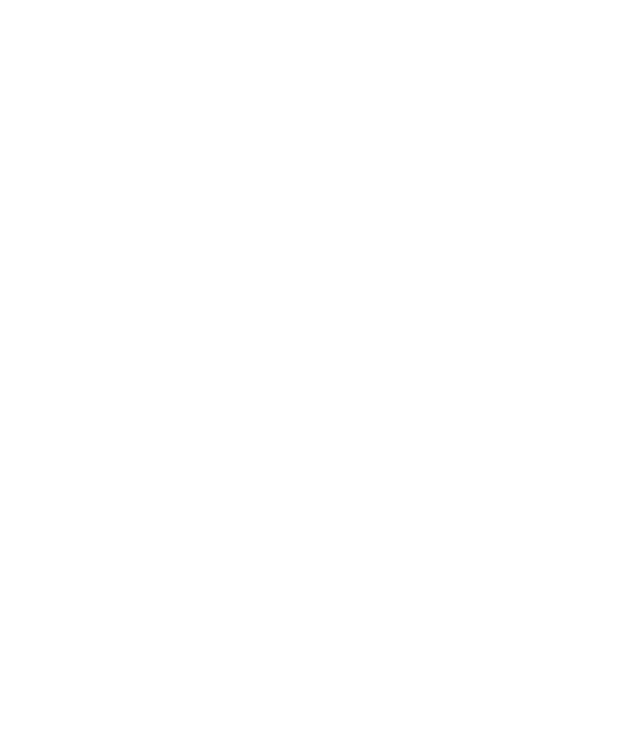 Logo Cabanes du Mont Blanc