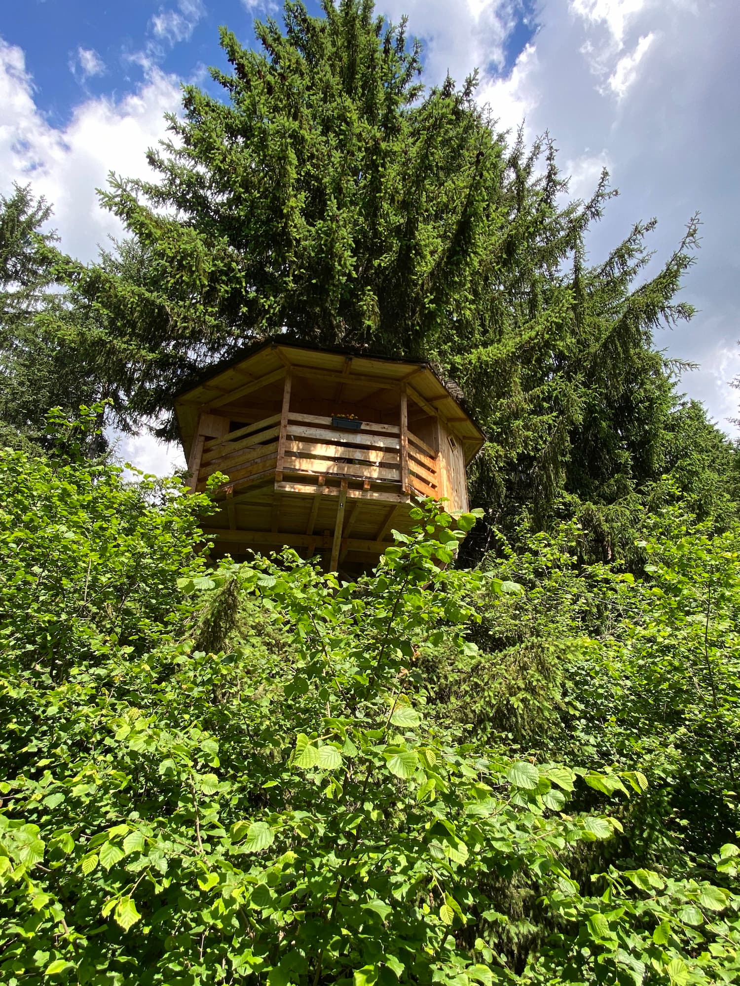 Cabane la verte