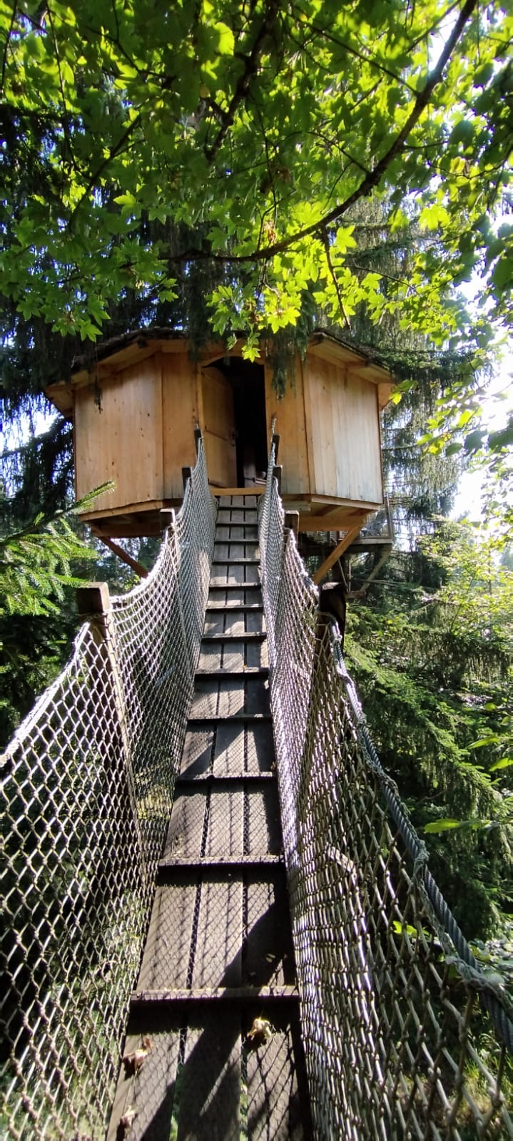 Cabane Mont Blanc